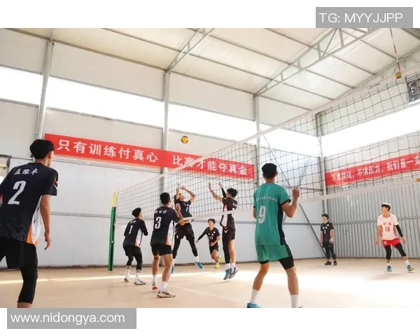 赛后分析：上海排球队与广州排球队技术对比及表现评估