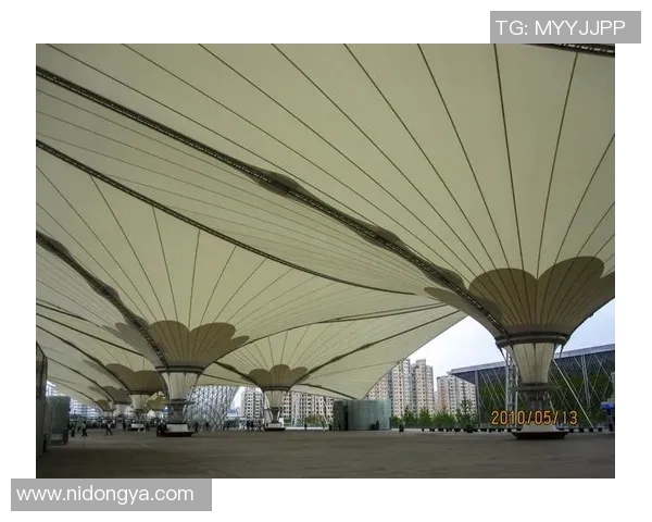 重庆篮球队与上海篮球队赛后复盘分析及战术意识探讨