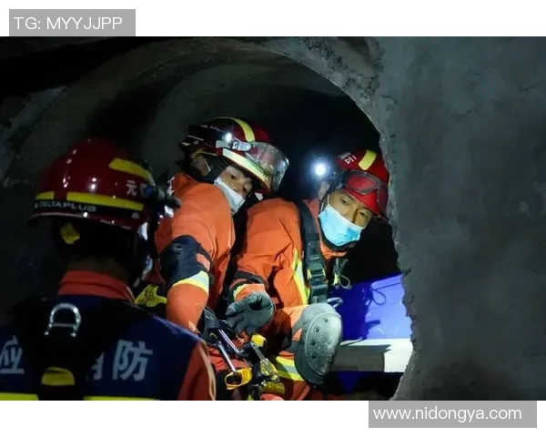 重庆排球队的技术揭秘与训练背后的故事与荣耀