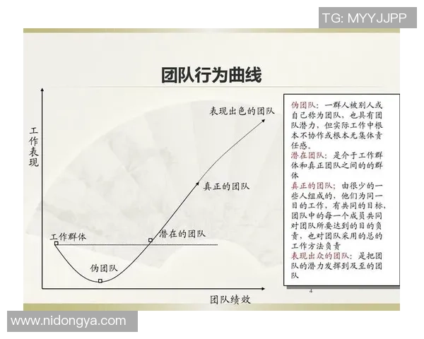 重庆排球队展现卓越团队协作精神助力联赛佳绩分析 重庆排球队展现卓越团队协作精神助力联赛佳绩分析