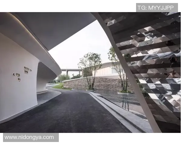 重庆排球队在洲际杯中的蜕变与未来发展之路探秘