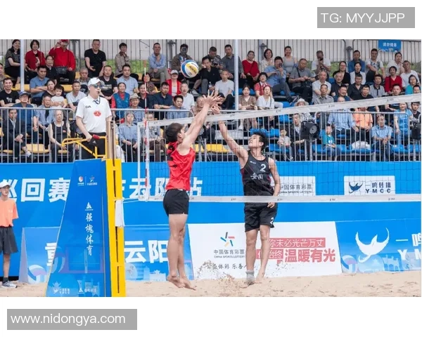 重庆排球队逆袭之路揭秘挑战赛背后的拼搏与坚持