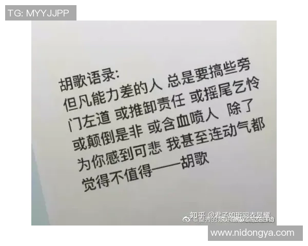 足球明星崇拜粉丝现象解析与其对社会文化的影响探讨