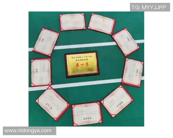 西安羽毛球队的精神风貌与发展历程探讨